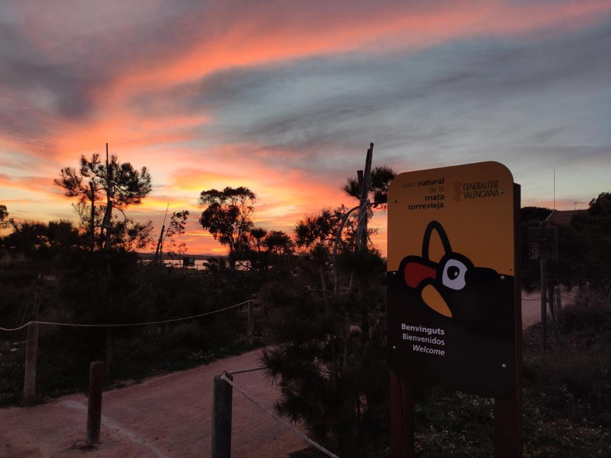 Apartamento Torre Zeus, La Mata, Torrevieja Eksteriør billede