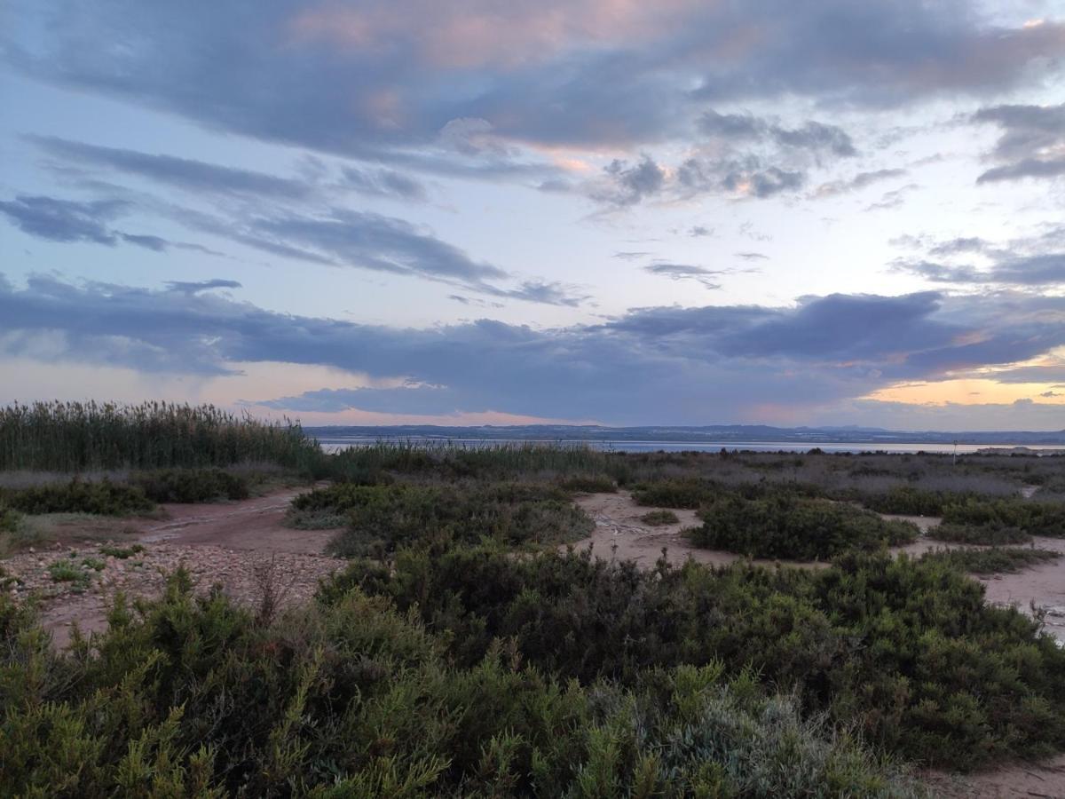 Apartamento Torre Zeus, La Mata, Torrevieja Eksteriør billede